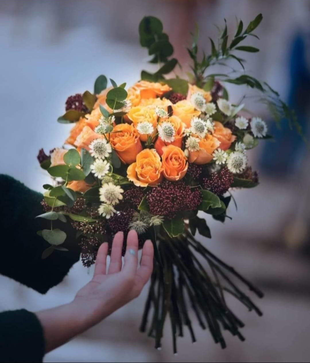 Eveniment Barocco 10