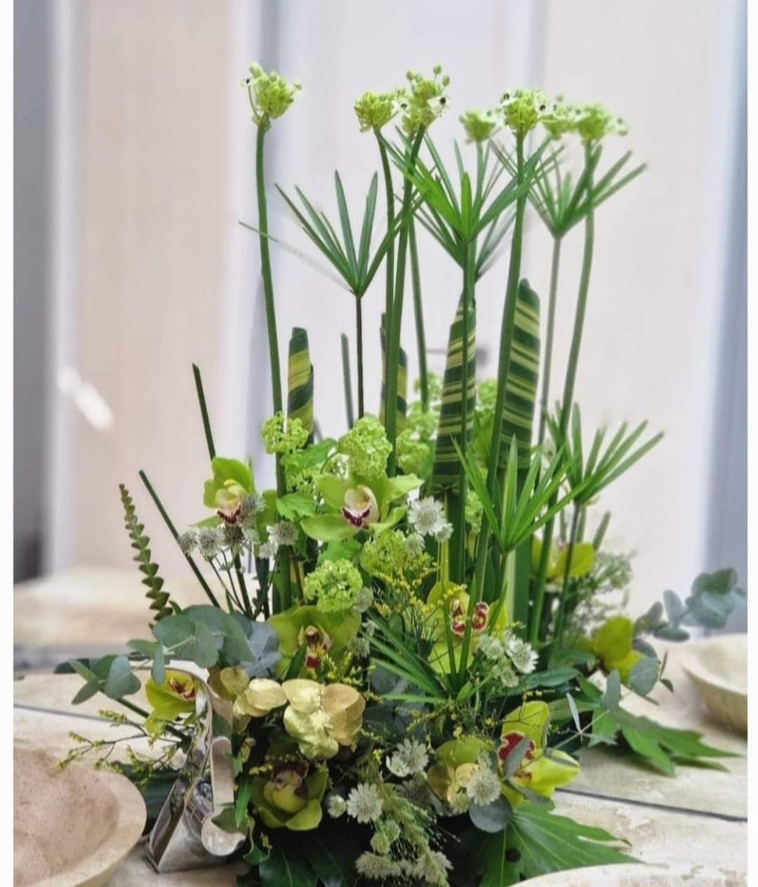 Eveniment Barocco 10